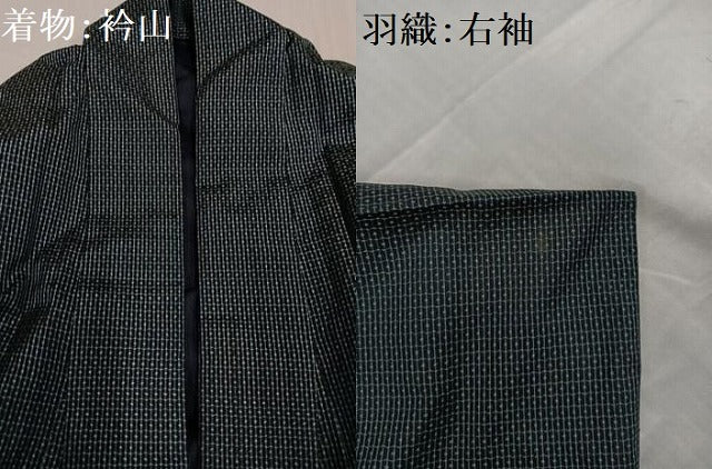 平和屋着物●男性　本場大島紬　アンサンブル　亀甲絣　正絹　逸品　AABC8059ph