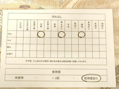 平和屋着物◎六通柄袋帯　唐織　王朝蒔絵　金糸　正絹　逸品　AABC8325dt