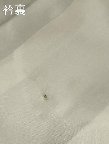 平和屋着物●豪華色留袖　友禅　流水枝花文　暈し染め　鬼しぼ縮緬　ロング丈　正絹　逸品　AABC8648ck