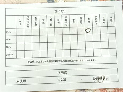 平和屋着物◎六通柄袋帯　浜松風景文　金糸　正絹　逸品　AABC8888uk