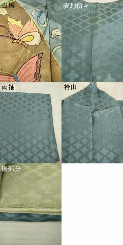 平和屋着物●訪問着 刺繍 花蝶唐草文 金糸 金彩 正絹 逸品 AABC9267ck