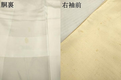 平和屋着物●訪問着 作家物 紬地 笹竹文 正絹 逸品 AABC9268ck