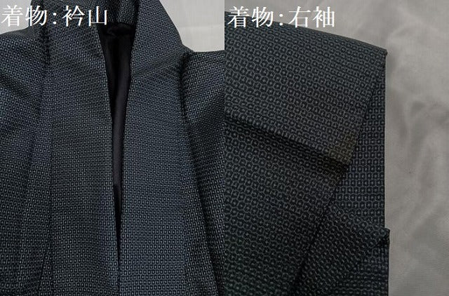 平和屋着物●男性　本場大島紬　アンサンブル　100亀甲　総詰め　正絹　逸品　AABC9320ph