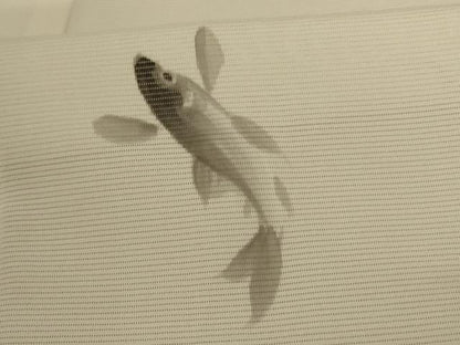 平和屋着物＊夏物 訪問着 絽 笹竹文 魚 正絹 逸品 AABC9371jd