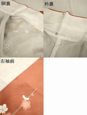 平和屋着物●訪問着 駒刺繍 流水鴛鴦花文 金彩 正絹 逸品 AABC9480ck