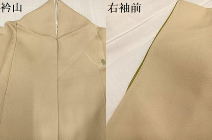 平和屋着物●訪問着　友禅　群れ鶴　葡萄　短冊　蔦の葉　正絹　逸品　AABC9659ph