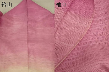 平和屋着物＊夏物 訪問着 紗 霞文 ロング丈 正絹 逸品 AABC9873jd
