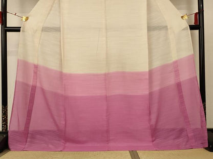 平和屋着物＊夏物 訪問着 紗 霞文 ロング丈 正絹 逸品 AABC9873jd