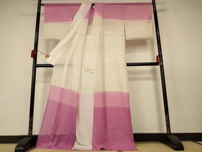 平和屋着物＊夏物 訪問着 紗 霞文 ロング丈 正絹 逸品 AABC9873jd