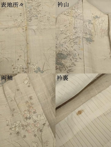平和屋着物＊夏物 生紬 手描き 草花文 正絹 逸品 AABC9879jd