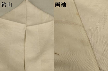平和屋着物＊夏物　訪問着　絽　楓芝文　正絹　逸品　AABC9920jd