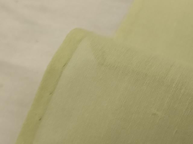 平和屋着物＊夏物 絹芭蕉 訪問着 紗 草花文 金銀彩 正絹 逸品 AABC9933jd