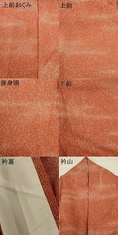 平和屋着物＊夏物 小紋 絽 霞文 正絹 逸品 AABC9943jd