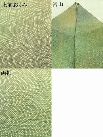 平和屋着物▽江戸小紋 単衣 芝文 鮫小紋柄 正絹 逸品 AABD0035fy