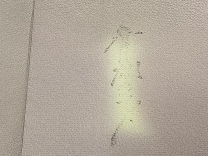 平和屋着物▽染色作家 斉藤三才 小紋 単衣 霞文 正絹 逸品 AABD0076fy