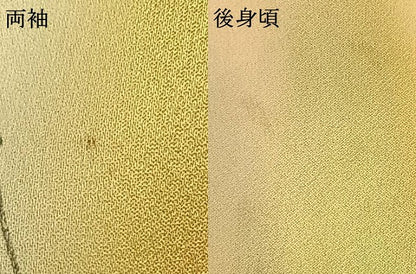 平和屋着物▽上質な小紋 単衣 手描き 枝花文 暈し染め 正絹 逸品 AABD0096fy