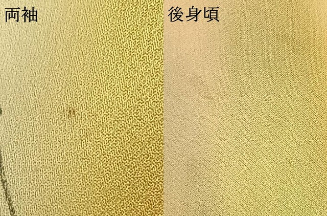 平和屋着物▽上質な小紋 単衣 手描き 枝花文 暈し染め 正絹 逸品 AABD0096fy