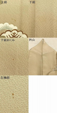 平和屋着物▽訪問着 単衣 飛鶴松文 金糸 金彩 正絹 逸品 AABD0201fy