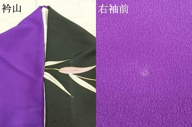 平和屋着物▽訪問着 単衣 舞葉文 金彩 洗える着物 AABD0202fy