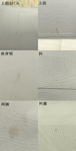 平和屋着物●色留訪問着　寿光織　作家物　風神雷神　金銀糸　ロング丈　正絹　逸品　AABD0553fy