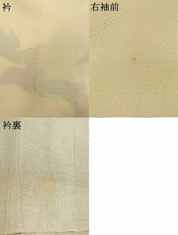 平和屋着物▼上質な小紋　草花文　地紋起こし　正絹　逸品　AABD0608fy
