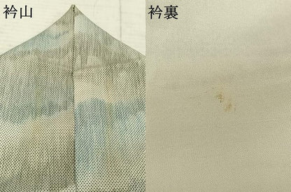 平和屋着物●本場大島紬 白大島 一元絣 風景文 正絹 逸品 AABD0632fy