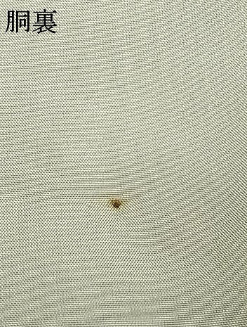 平和屋着物●上質な紬　100亀甲　切嵌文　正絹　逸品　AABD0722fy