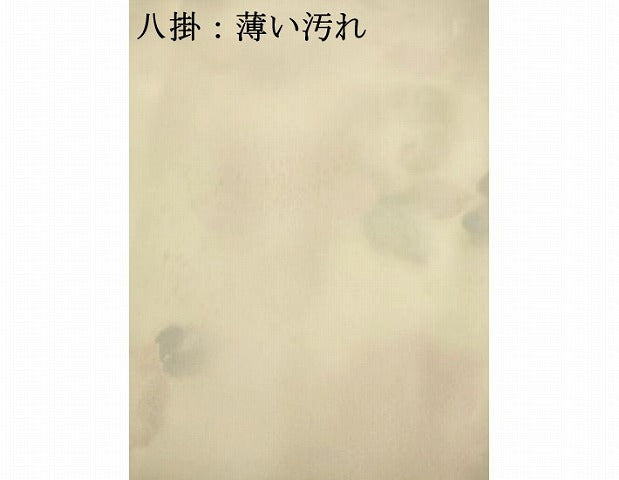 平和屋着物■上質な小紋　草花文　正絹　逸品　AABD1350ma