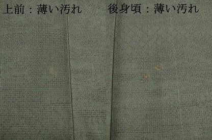 平和屋着物■上質な紬　風景文　鈴乃屋扱い　正絹　逸品　AABD1387ma