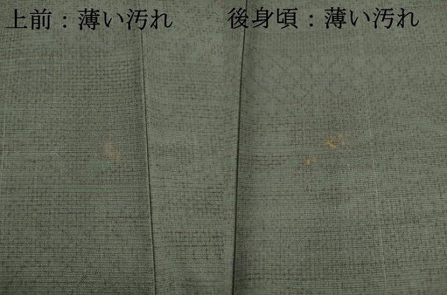 平和屋着物■上質な紬　風景文　鈴乃屋扱い　正絹　逸品　AABD1387ma