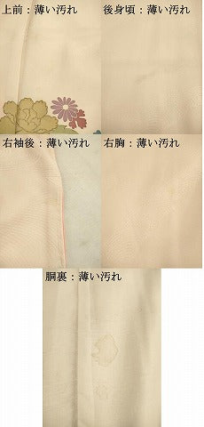 平和屋着物■訪問着　草花文　暈し染め　金彩　正絹　逸品　AABD1415ma