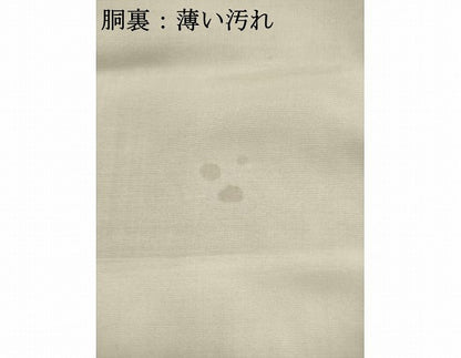 平和屋着物■上質な小紋　草花間道　正絹　逸品　AABD1429ma