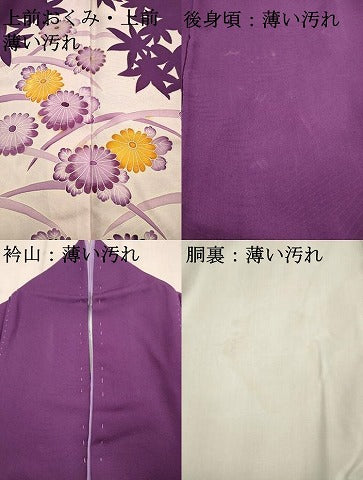 平和屋着物■豪華色留袖　草花文　金彩　正絹　逸品　AABD1514ma