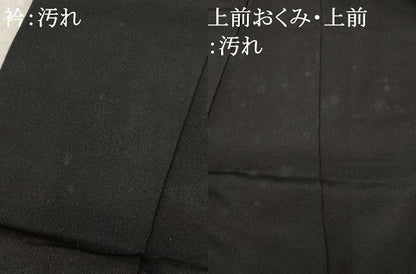 平和屋着物■豪華黒留袖　作家物　駒刺繍　エ霞み立波飛鶴文　金彩　正絹　逸品　AABD2040st