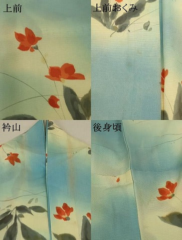 平和屋着物＊夏物 小紋 絽 手描き 草花文 暈し染め 正絹 逸品 AABD3297jd