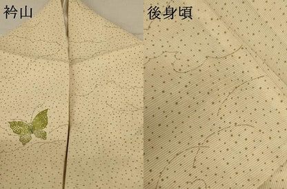 平和屋着物＊夏物　小紋　絽　雲取り舞蝶文　正絹　逸品　AABD3298jd