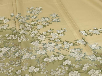 平和屋着物＊夏物 訪問着 絽 草花文 暈し染め 金銀彩 洗える着物 AABD3333jd
