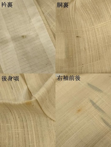 平和屋着物＊夏物 訪問着 生紬 手描き 風景文 正絹 逸品 AABD3346jd