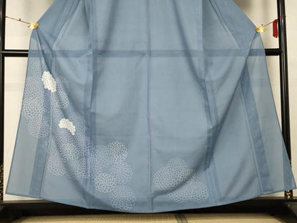 平和屋着物＊夏物 訪問着 絽 紫陽花 洗える着物 AABD3353jd