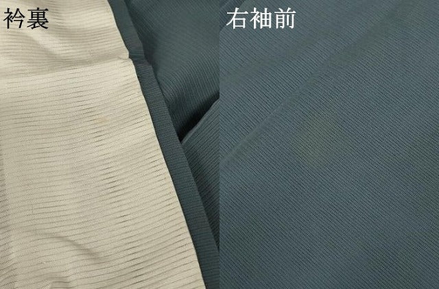 平和屋着物＊夏物 訪問着 絽 風神雷神 暈し染め 金彩 正絹 逸品 AABD3367jd