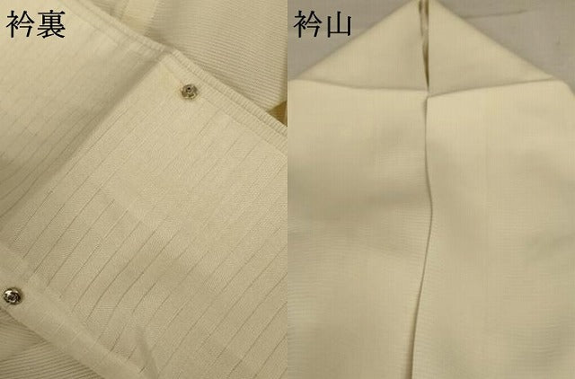 平和屋着物＊夏物 訪問着 絽 葡萄 金彩 正絹 逸品 AABD3373jd