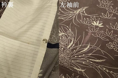 平和屋着物＊夏物 小紋 絽 草花文 正絹 逸品 AABD3391jd