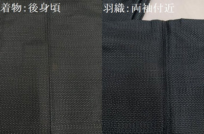 平和屋着物●男性 本場村山大島紬 アンサンブル 亀甲絣 正絹 逸品 AABD3441ph