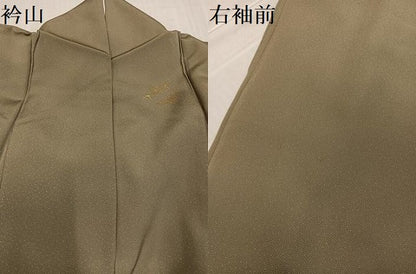 平和屋着物●訪問着　駒刺繍　橘　金銀彩　正絹　逸品　AABD3480ph