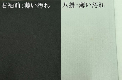 平和屋着物■豪華黒留袖 風景文 金彩 正絹 逸品 AABD4282jh