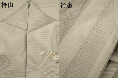 平和屋着物＊夏物 訪問着 絽 草花文 金彩 正絹 逸品 AABD4490jd