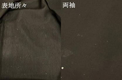 平和屋着物＊夏物 明石ちぢみ 絞り ヒラメ 反端付き 正絹 逸品 AABD4535jd