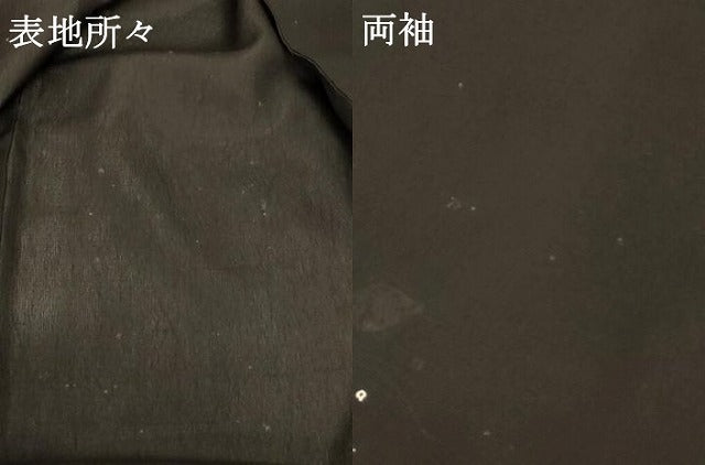 平和屋着物＊夏物 明石ちぢみ 絞り ヒラメ 反端付き 正絹 逸品 AABD4535jd