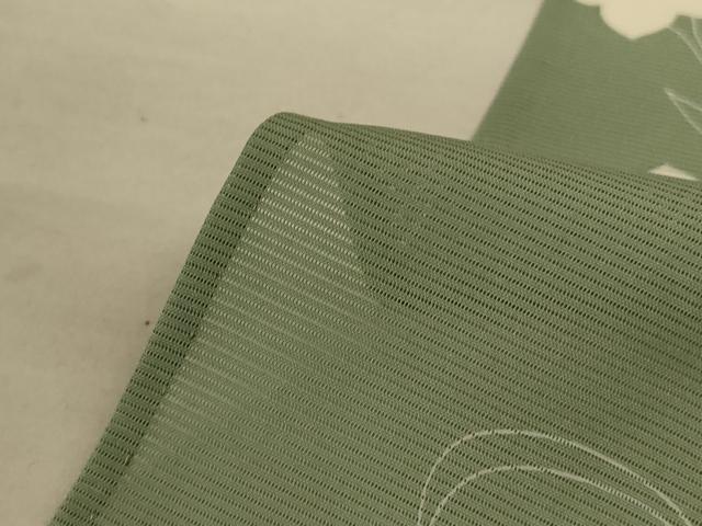 平和屋着物＊夏物 訪問着 絽 草花文 金彩 ロング丈 正絹 逸品 AABD4545jd