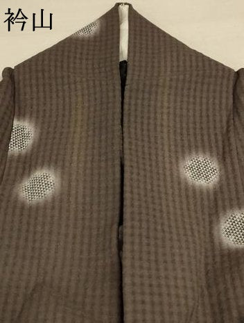 平和屋着物＊夏物 小紋 紗 丸文 正絹 逸品 AABD4547jd